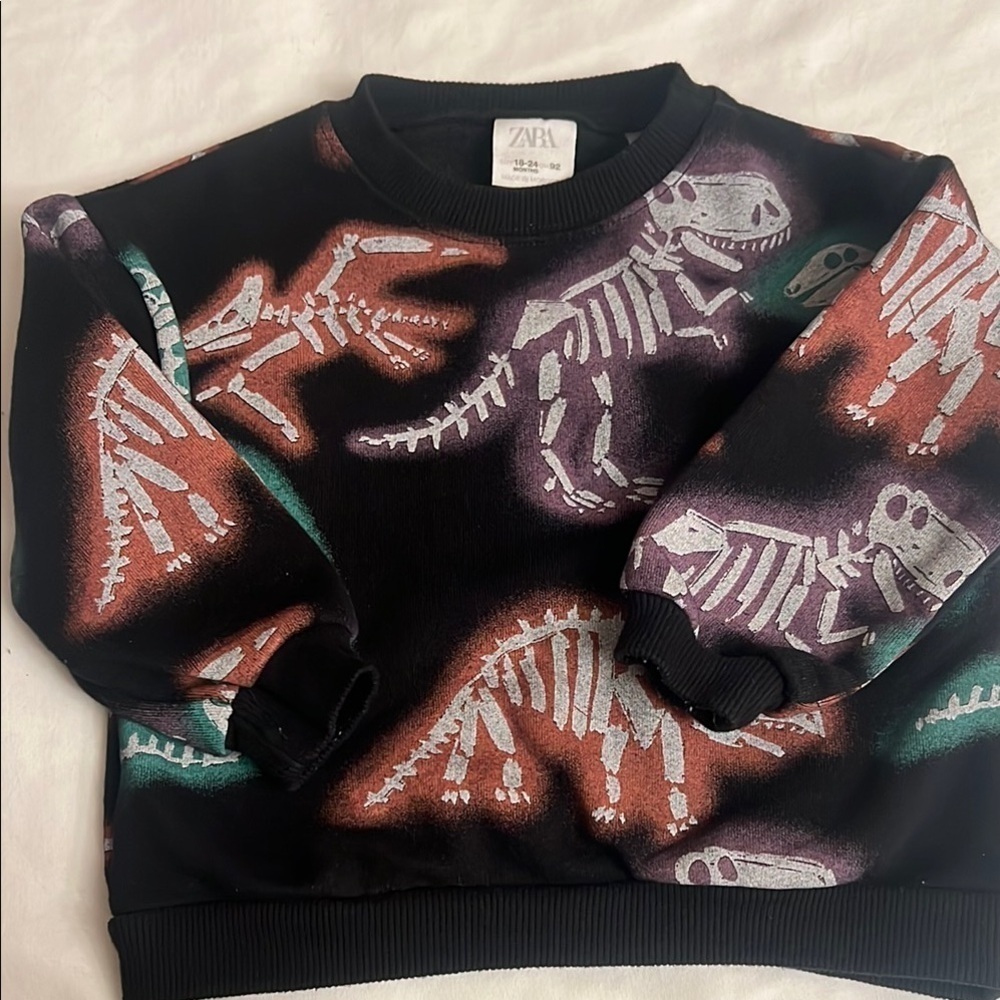 Zara kids Black and Purple Dinosaur Skeleton
